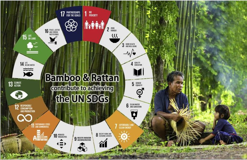 How Bamboo and Rattan can support United Nation’s sustainable development goals (SDGs)